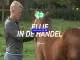 Ellie in de paardenhandel