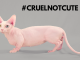 Cruelnotcute