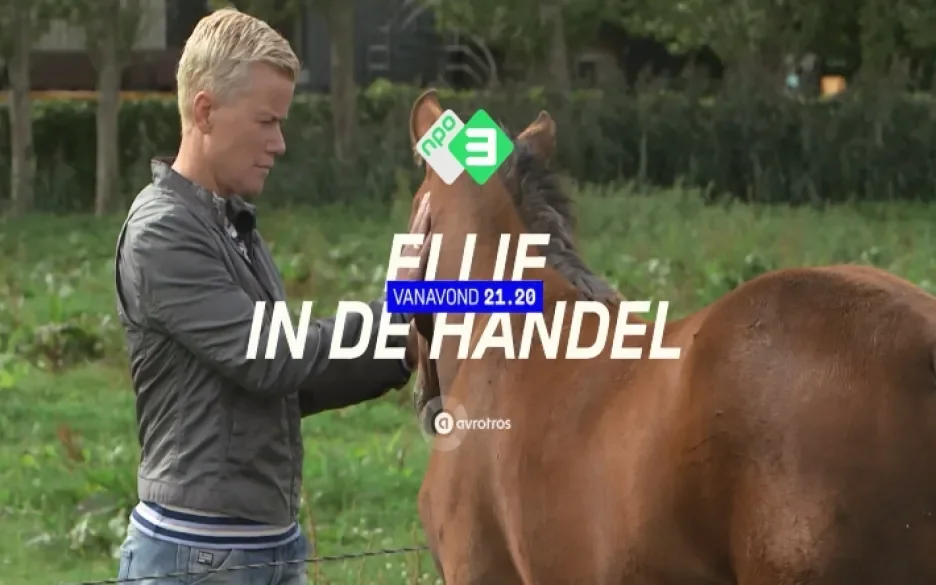 Ellie in de paardenhandel