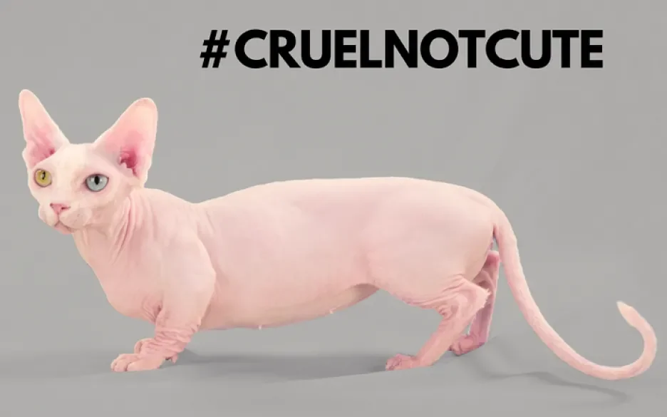 Cruelnotcute