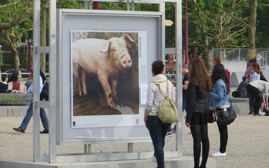 Fototentoonstelling Museumplein