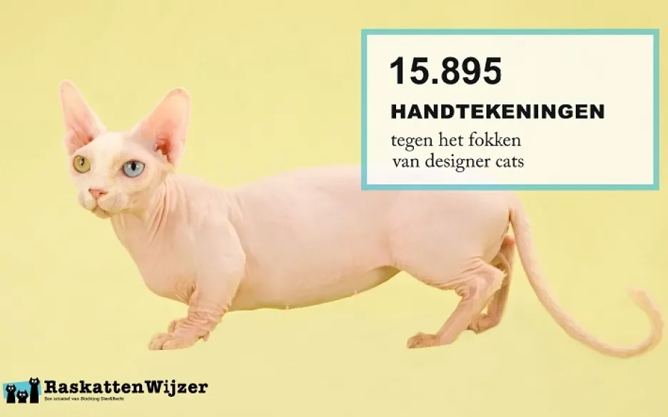 Tegen fokken designer cats