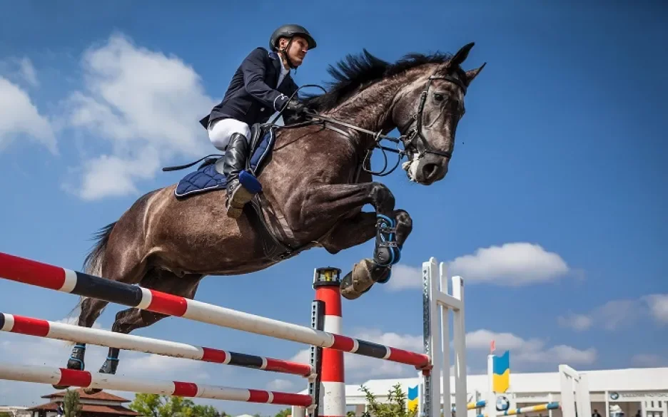 paard tijdens springwedstrijd