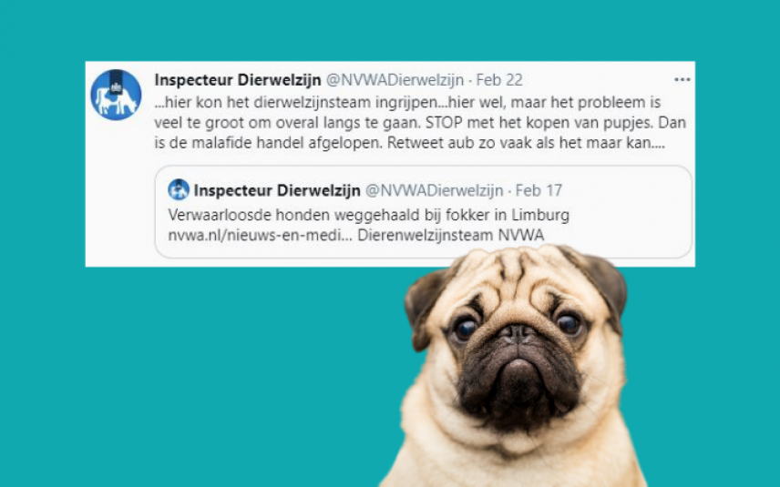 NVWA Inspecteur Dierenwelzijn: STOP met van pups! |