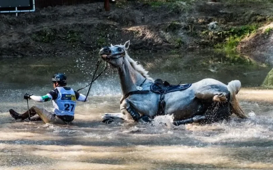 Vallend paard