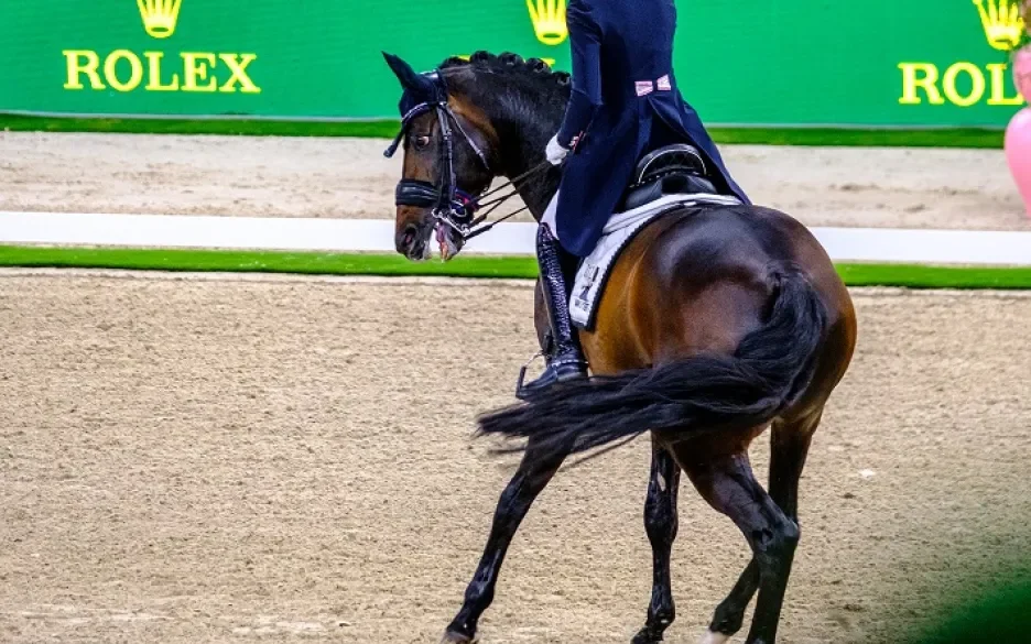 Paard met pijn tijdens The DUtch Masters