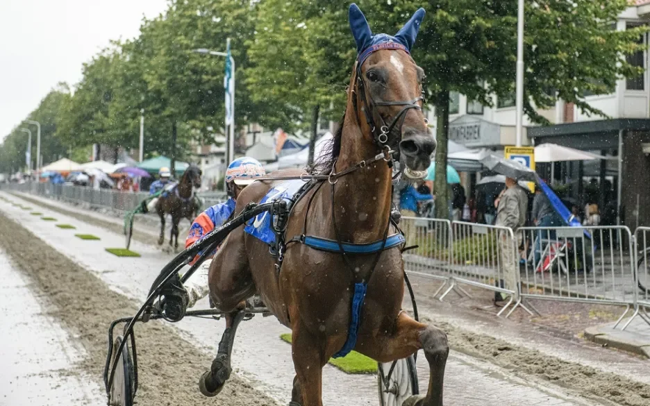 Draverijen vergroten de kans op maagzweren bij paarden