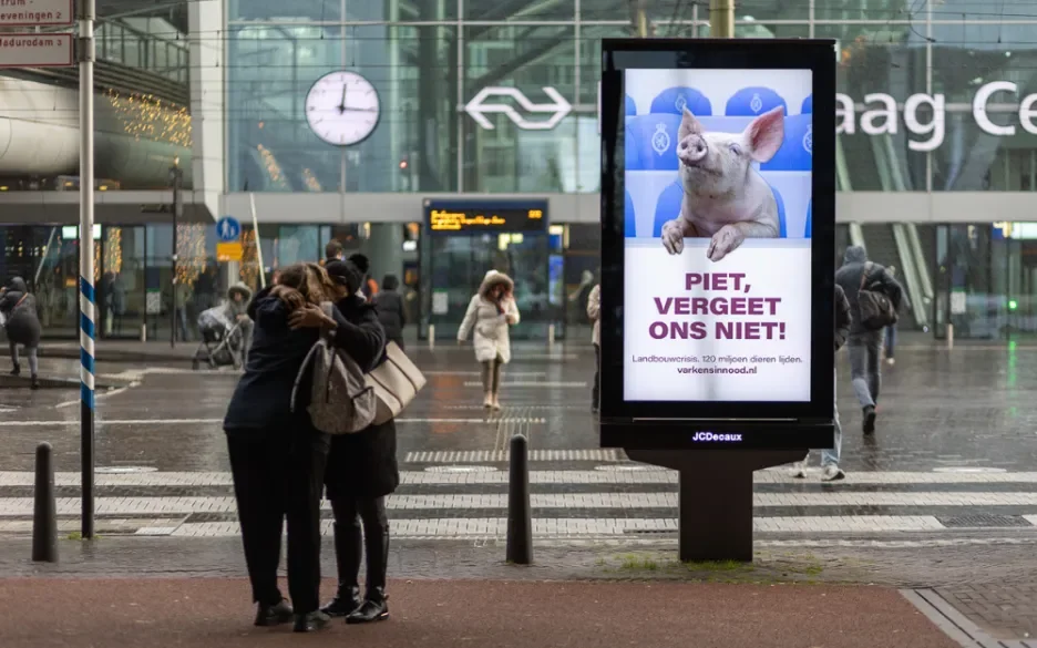 Landbouwakkoord dieren worden niet gehoord Piet vergeet ons niet