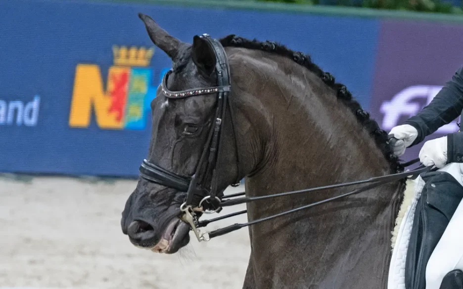 Blauwe tongen genegeerd op Jumping Amsterdam