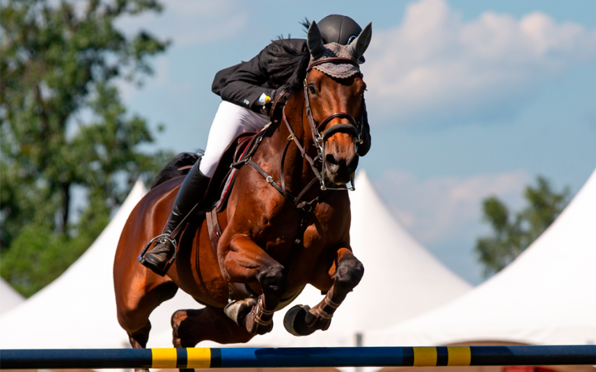 Olympische paardensporten niet meer van deze tijd