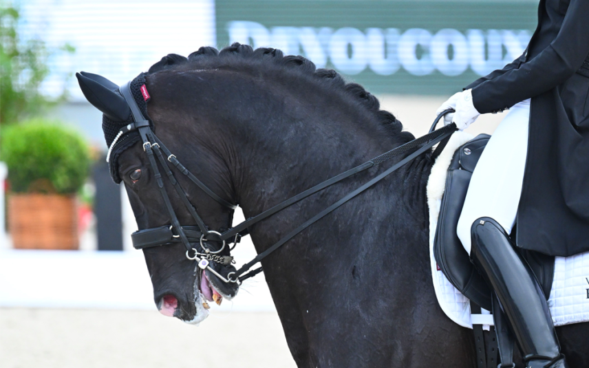 Olympisch succes, maar tegen welke prijs voor het paard?