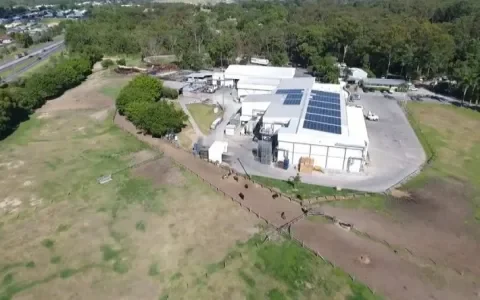 Ondanks veroordeling kan berucht Australisch paardenslachthuis zijn gang blijven gaan