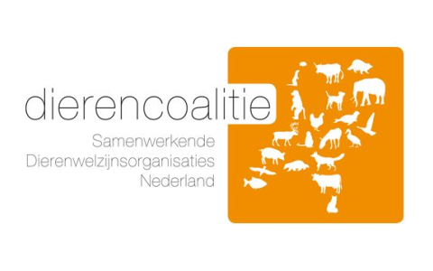 Dierenorganisaties starten campagne voor diervriendelijke politici