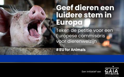 Geef dieren een luidere stem in Europa!