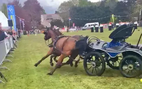 Show kost paard het leven. Een acceptabel risico?