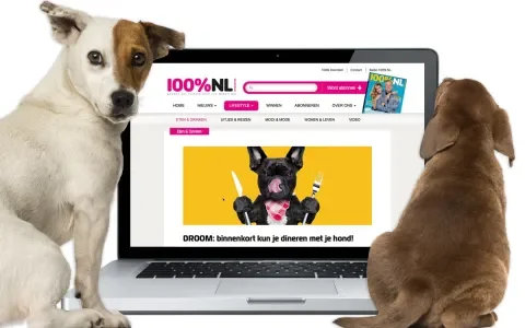 Gezonde honden in reclames